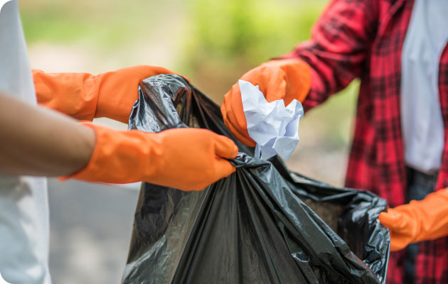 Waste Collection